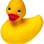 Yellow duck